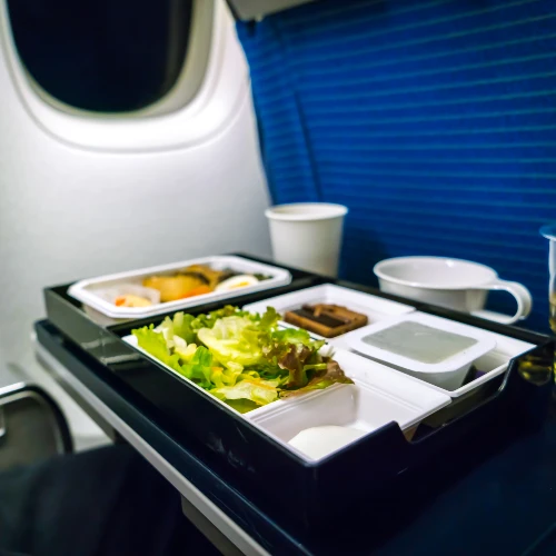 mag je eten meenemen in het vliegtuig